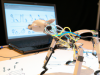 A platform with freely available code is used to model the behavior of animals for people who create soft robotic products.